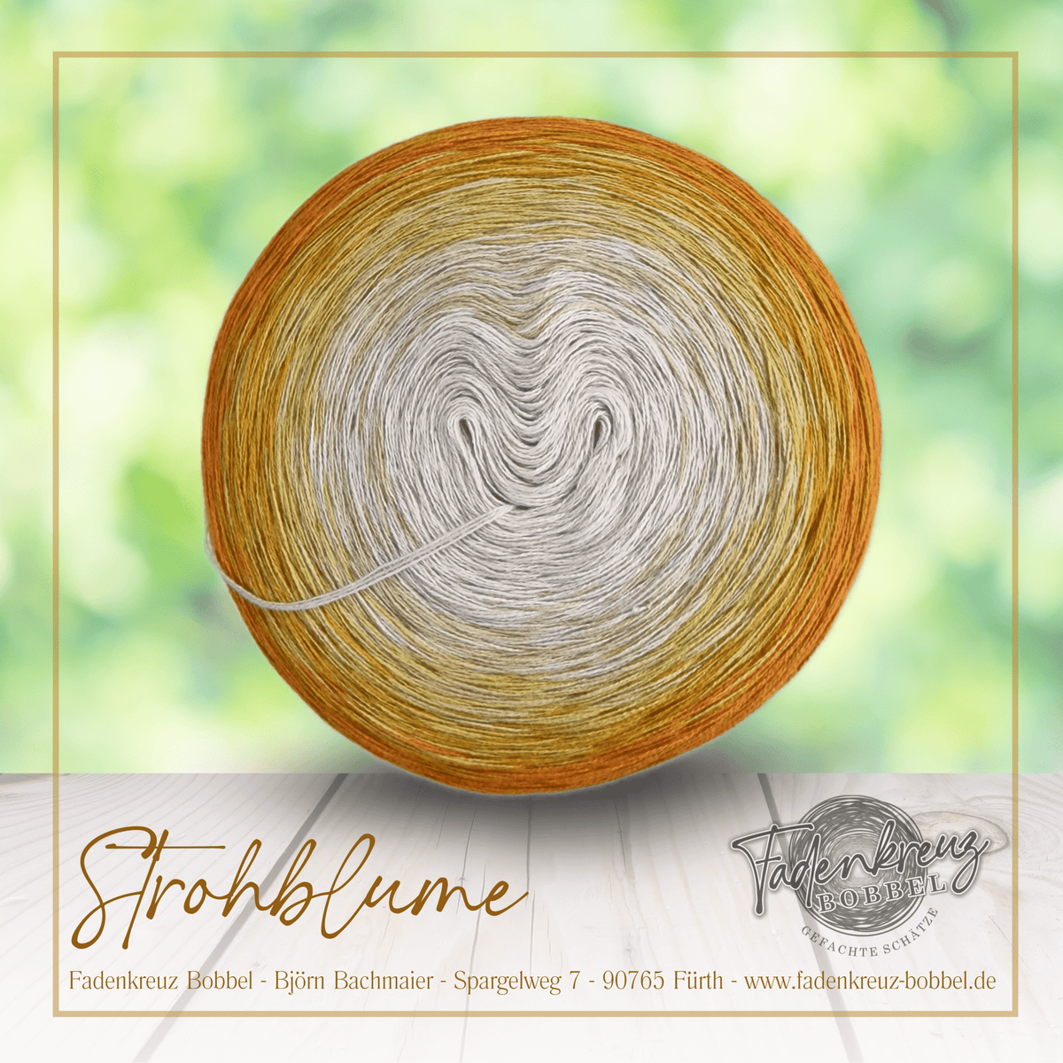 Bobbel Strohblume
