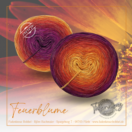 Bobbel Feuerblume