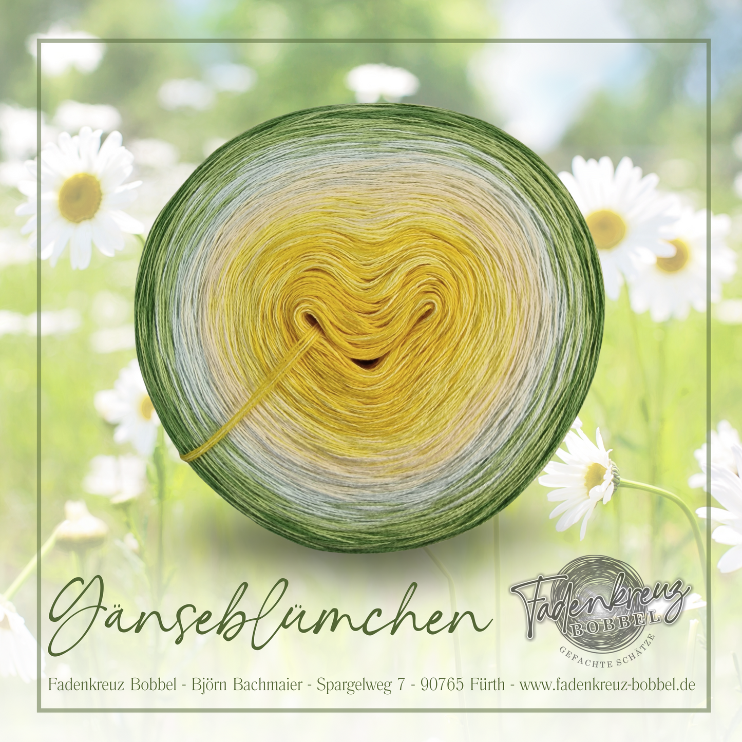 Gänseblümchen
